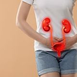 Urinary Tract Infection Test Package