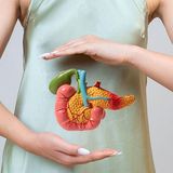 Extended Pancreatic Disease Diagnostic Test Package