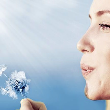 Test Alex 2 – diagnostyka molekularna chorób alergicznych